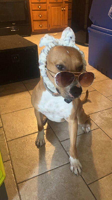 Entry image for Barrel. Clicking this image will show a larger photo