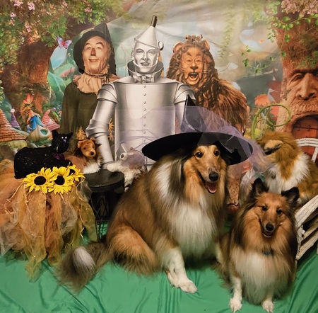 Entry image for Abbey and Peanut. Clicking this image will show a larger photo