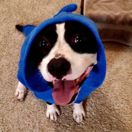 Roscoe