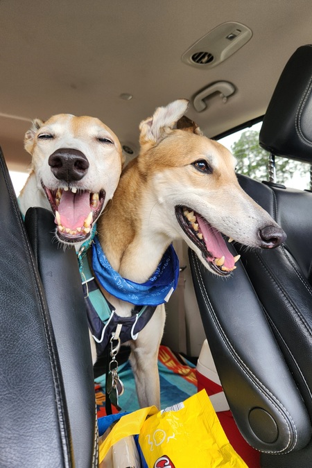 Nutella & Cooper