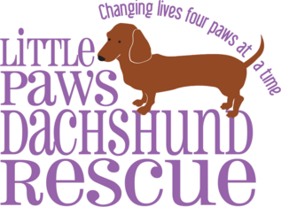 Logo for Little Paws Dachshund Rescue Coloring Book Contest