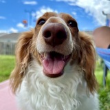 Entry image for Kenny