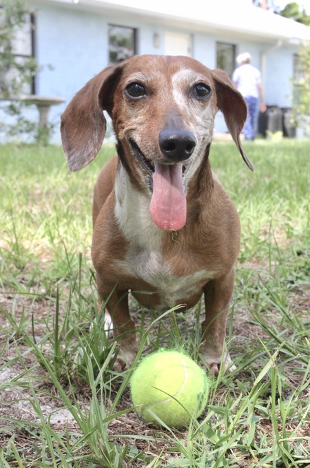 Entry image for Chloe. Clicking this image will show a larger photo