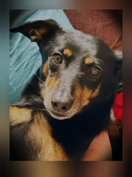 Entry image for Nikki. Clicking this image will show a larger photo