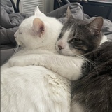 Entry image for Brooklyn and his buddy Jordan