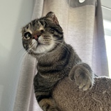 Entry image for Basil