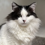 Entry image for Zachary