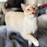 Entry image for Eula