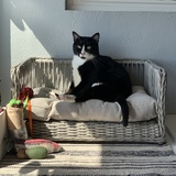 Entry image for Cthulhu