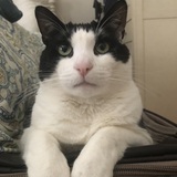 Entry image for Lenny