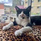 Entry image for YooHoo