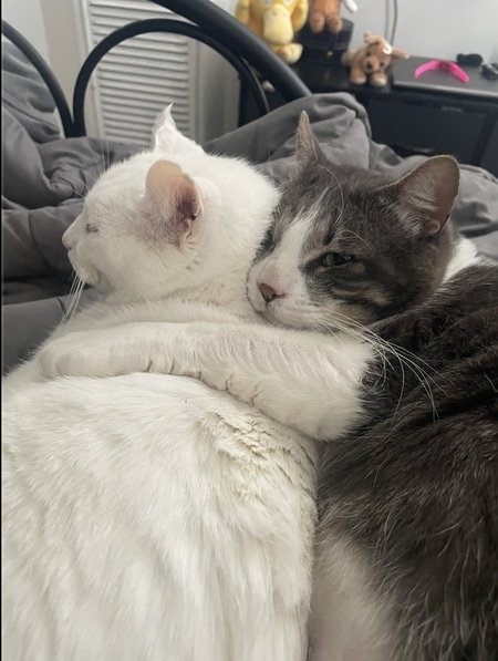 Entry image for Brooklyn and his buddy Jordan. Clicking this image will show a larger photo
