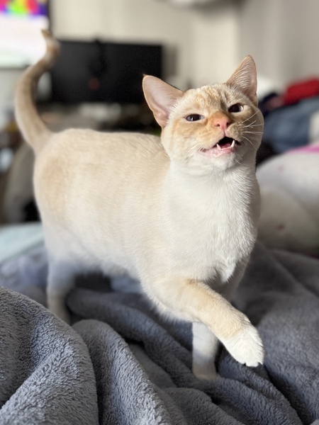 Entry image for Eula. Clicking this image will show a larger photo