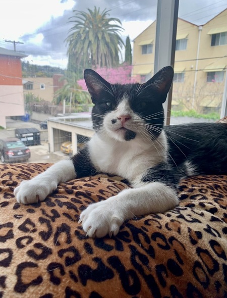 Entry image for YooHoo. Clicking this image will show a larger photo