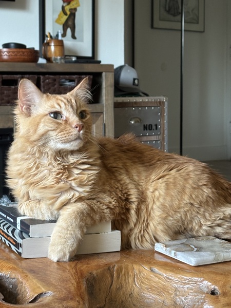 Entry image for Queso Kalbs . Clicking this image will show a larger photo