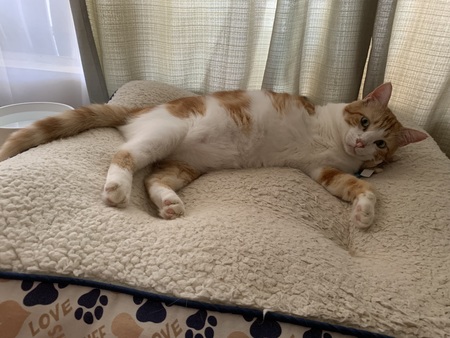 Entry image for Momo-chan. Clicking this image will show a larger photo