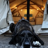 Entry image for Murphy
