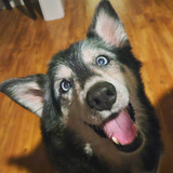 Entry image for Ada