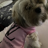 Entry image for Tallulah