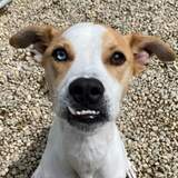 Entry image for Lenny