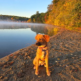 Entry image for Autumn 