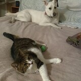 Entry image for Katie & Mitzi