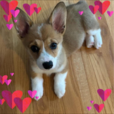 Entry image for Candy 