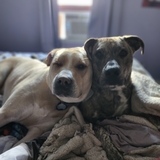 Entry image for Jax Sparrow and Sport 