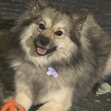 Entry image for Stevie  comfortable enough to play with toys