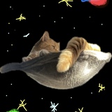 Entry image for Tonka