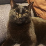 Entry image for Clark