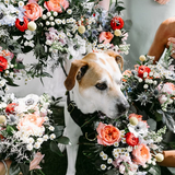 Entry image for Jerry