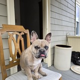 Entry image for Reggie