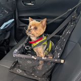 Entry image for Bulldozer Louie