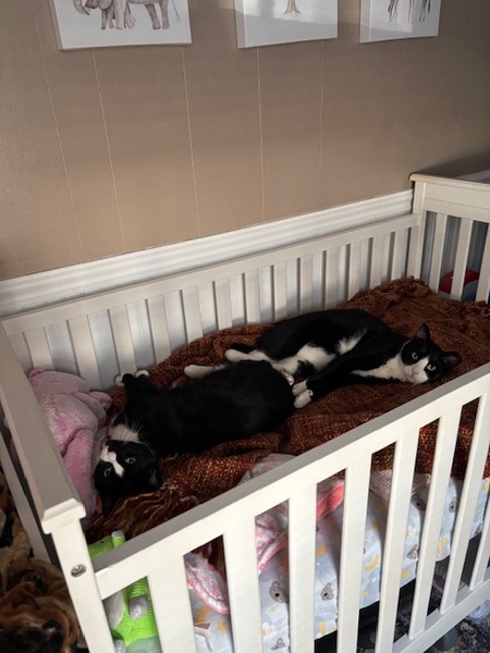Entry image for Wally & Gus. Clicking this image will show a larger photo