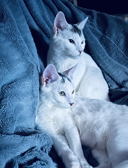 Entry image for Egon and Venkman. Clicking this image will show a larger photo