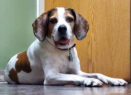 Entry image for Sophie. Clicking this image will show a larger photo