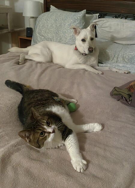 Entry image for Katie & Mitzi. Clicking this image will show a larger photo