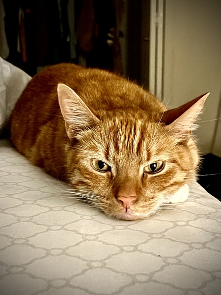 Entry image for Charlie. Clicking this image will show a larger photo