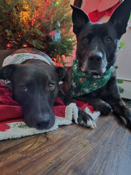 Entry image for Joe and Betty. Clicking this image will show a larger photo