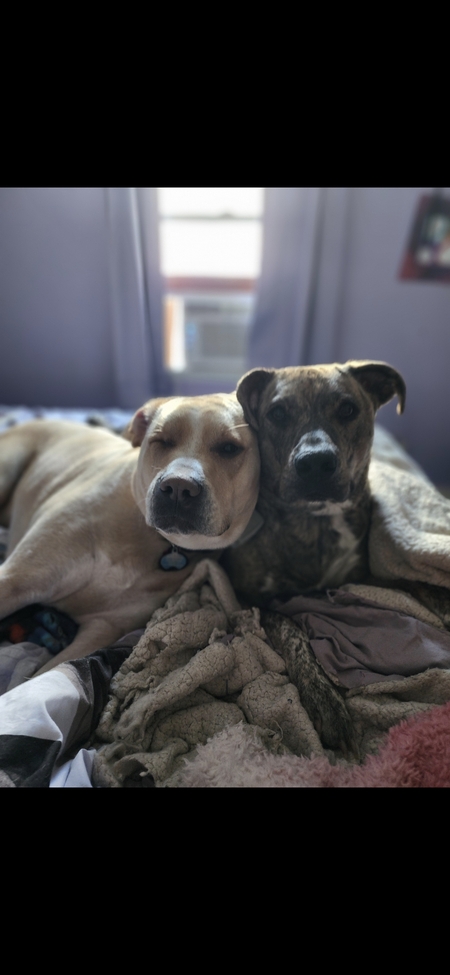 Entry image for Jax Sparrow and Sport . Clicking this image will show a larger photo