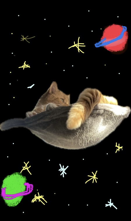 Entry image for Tonka. Clicking this image will show a larger photo