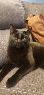 Entry image for Clark. Clicking this image will show a larger photo