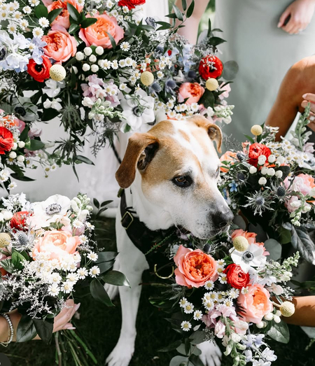 Entry image for Jerry. Clicking this image will show a larger photo