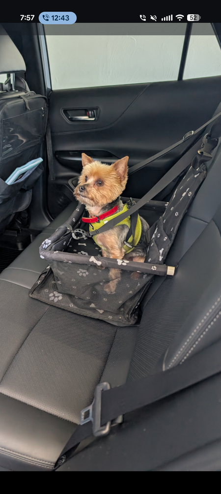 Entry image for Bulldozer Louie. Clicking this image will show a larger photo