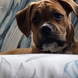 Entry image for Remi Lynn