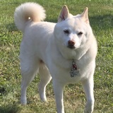 Entry image for Addy