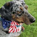 Entry image for James 'Jimmy' Bond