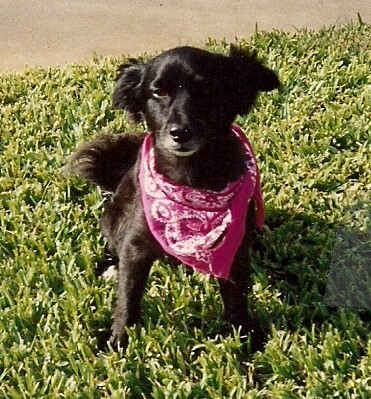 Entry image for Tabu. Clicking this image will show a larger photo