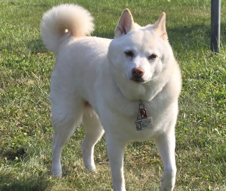 Entry image for Addy. Clicking this image will show a larger photo